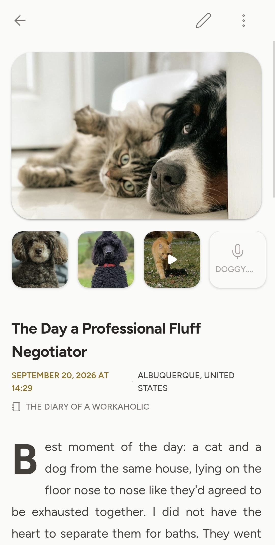 A Diurnal entry from Albuquerque, with photo, video and voice attachments